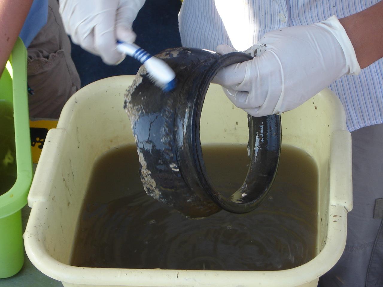 Cleaning recovered finds